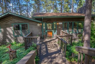 Rustic cabin among pine trees, Idaho woodland